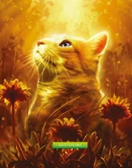 Wygląd w "Ostatecznym przewodniku: zaktualizowanej i rozszerzonej edycji"