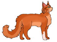 Alternatywny wygląd z polskiej okładki "Burzy Jeżynowej Gwiazdy"