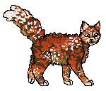 Blossomfall Kociak2.png (11 KB) Jako koteczka