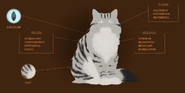 FeathertailWebsite.png (248 KB) Profil na oficjalnej stronie