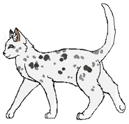 LisciastaZwitka Wojownik.png (9 KB) Jako wojowniczka