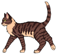 Alt Millie.png (14 KB) Wygląd na polskiej okładce "Burzy Jeżynowej Gwiazdy"