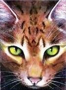 Wygląd na starszej angielskiej okładce "Północy"