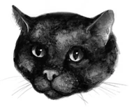 Wygląd w "Sekretach klanów"