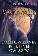 Okładka polskiej wersji językowej