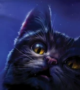 Wygląd na nowszej angielskiej okładce "Północy"