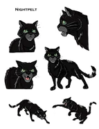 Wygląd na rysunku koncepcyjnym do mangi "Wygnanie z Klanu Cienia"