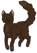 Oakstar Starclan.png (5 KB) W Klanie Gwiazdy