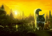 Pełna okładka angielskiej wersji językowej