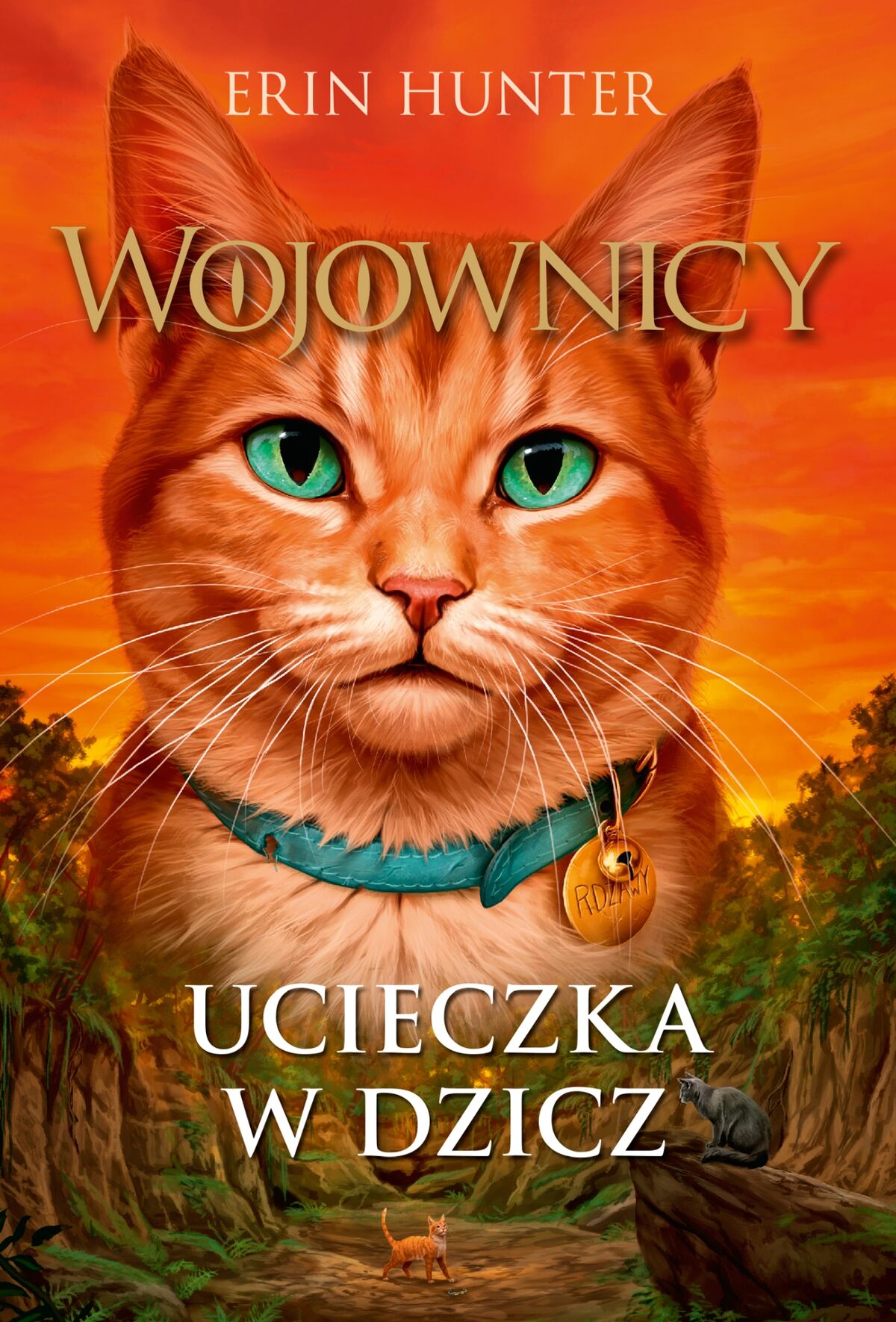 Kategoria Wojownicy seria Wojownicy Wiki Fandom kategoria-wojownicy-seria-wojownicy-wiki-fandom