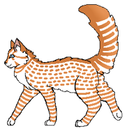 Jako wojowniczka