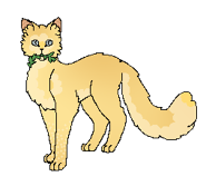 Shineflower.png (16 KB) Jako medyczka