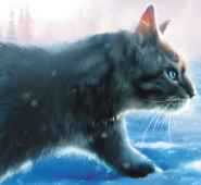 Wygląd na nowszej angielskiej okładce "Lasu podzielonego"