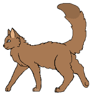 Bukowe Futro (KR) wojownik.png (18 KB) Jako wojownik