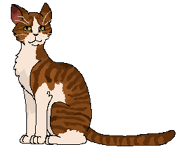 Leafstar ALTbbb.png (9 KB) Alternatywny wygląd z polskiej okładki "Nieznajomego w Klanie Nieba"