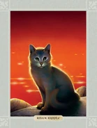 Riverstar.FG-6.png (245 KB) Wygląd w "Ostatecznym przewodniku"