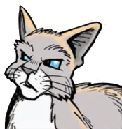 Wygląd w "Nieznajomym w Klanie Nieba"