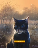 Wygląd w "Ostatecznym przewodniku: zaktualizowanej i rozszerzonej edycji"