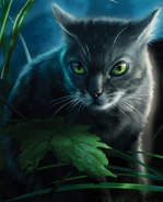 Wygląd na okładce "Piorunu i cienia"