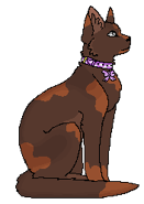 Luna RR.png (6 KB) Jako kot domowy