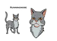 Wygląd na rysunku koncepcyjnym do mangi "Wygnanie z Klanu Cienia"