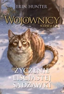 Okładka polskiej wersji językowej