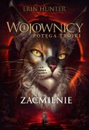 Okładka polskiej wersji językowej