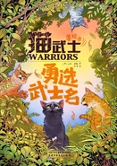 Alternatywna okładka drugiej części chińskiej wersji językowej w formie magazynu (chiński uproszczony)