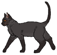 Alternatywny wygląd z polskiej okładki "Próby Wroniego Pióra"