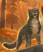 Rozbrzmiewająca Pieśń PJS.jpg (30 KB) Wygląd na polskiej okładce "Podróży Jastrzębiego Skrzydła"