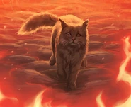 ŻółtaCPB.png (818 KB) Wygląd na odświeżonej polskiej okładce "Ciszy przed burzą"