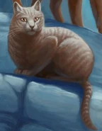 BirchstarCJ.png (123 KB) Wygląd na polskiej okładce "Tułaczki Chmurnej Gwiazdy"