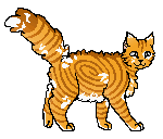 Bayshine Kit.png (8 KB) Jako kociak