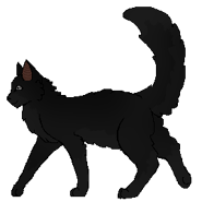 Mousewing woj.png (12 KB) Jako wojownik