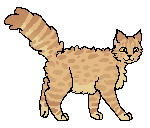 JednookiKit.png (10 KB) Jako kocurek