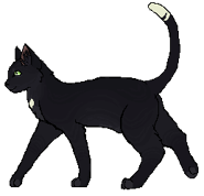 Kruczałapa wojownikk.png (8 KB) Jako wojownik