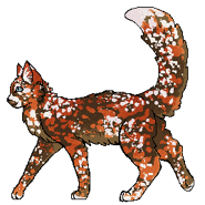 Blossomfall Wojownik2.png (31 KB) Jako wojowniczka