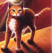 Leafs.jpg (74 KB) Wygląd na angielskiej okładce "Przeznaczenia Klanu Nieba"