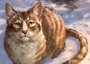 LeafpoolLW.png (1,28 MB) Wygląd na polskiej okładce "Życzenia Liściastej Sadzawki"