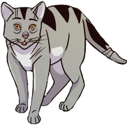 Pine T&S.png (141 KB) Wygląd w kolorowym wydaniu "Powrotu do klanów"