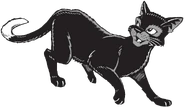 Ravenpaw.RP-2.png (194 KB) Wygląd w mandze "Klan w potrzebie"