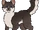 Malwowe Futro