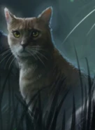 ASC-3-L.jpeg (42 KB) Wygląd na angielskiej okładce "Cienia"