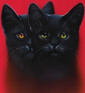 Wygląd w "Kotach klanów" oraz w "Ostatecznym przewodniku"