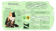 Profil w zapowiedzi na oficjalnej stronie