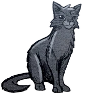 Wygląd w "Przepowiedni Błękitnej Gwiazdy"