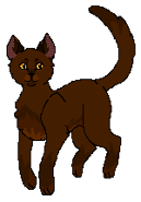 RogatySus(KW) starclan.png (4 KB) W Klanie Gwiazdy