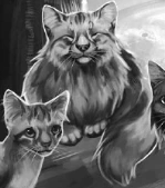 Rzeczna Gwiazda Kk Przewodnik.png (33 KB) Wygląd w polskim wydaniu "Kodeksu klanów"