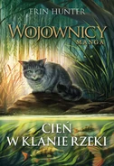 Okładka polskiej wersji językowej