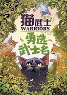 Okładka drugiej części chińskiej wersji językowej w formie magazynu (chiński uproszczony)